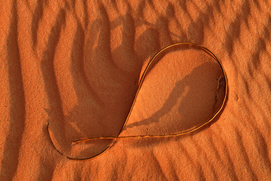 Oberflächenbeschaffenheit Bilder Durchsuchen 30,608 Archivfotos