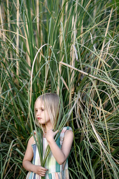 Portrait of blond little girl in front of Pampas grass