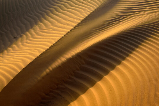 United Arab Emirates, Rub' al Khali, desert sand and ripple marks