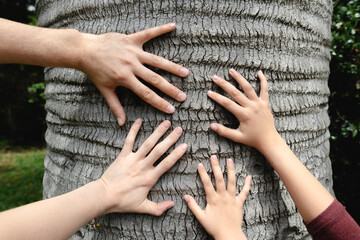 Four hands touching a tree trunk