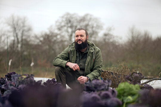 Gardener sitting in vegetable bed with Red Rubine Brussels sprouts