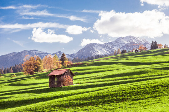 Italy, Trentino Alto-Adige, Vigo di Fassa, barn on alpine meadow