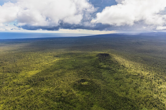 USA, Hawaii, Big Island, aerial view of Puna Forest Reserve