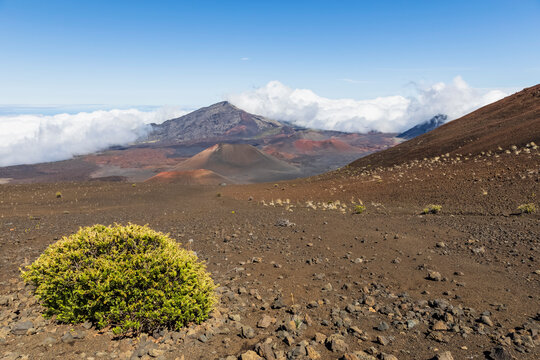 Craters Kama?oli?i, Pu?uom'ui, Pu?uopele and Kamohoalii, Sliding Sands Trail, Haleakala volcano, Haleakala National Park, Maui, Hawaii, USA