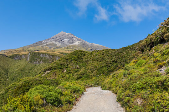 New Zealand, Scenic view of Mount Taranaki volcano and surrounding forest in spring