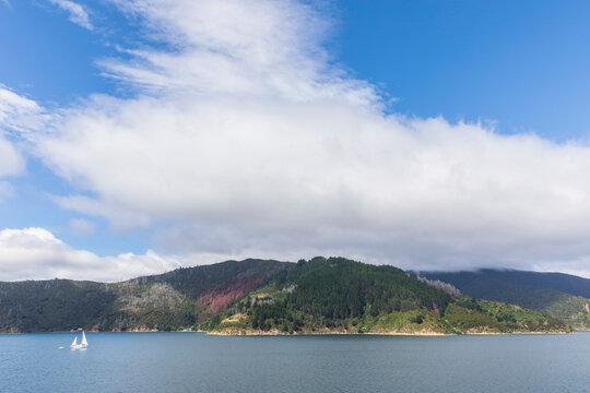 New Zealand, Marlborough Region, Picton, White summer clouds over Marlborough Sounds and forested coastline of South Island