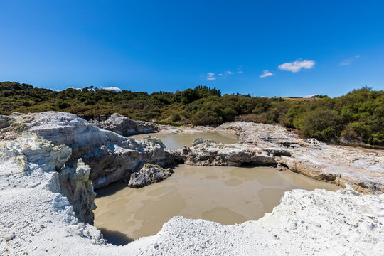 Hell's Gate, Geothermal Park, Tikitere, Rotorua, North Island, New Zealand