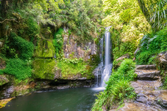 Kaiate Falls, Bay of Plenty, North Island, New Zealand