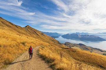 Woman hiking at Roys Peak, Lake Wanaka, New Zealand