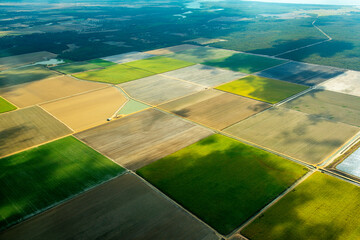 Aerial view of green fields cultivated in Queensland, Australia