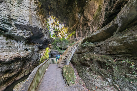New Zealand, Oceania, North Island, Waitomo, Mangapohue Natural Bridge Walk, Mangapohue Natural Bridge