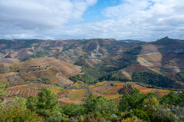 Fototapeta na wymiar Panoramic view on Douro river valley and colorful hilly stair step terraced vineyards in autumn, wine making industry in Portugal