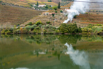 View on Douro river with reflection in water of colorful hilly stair step terraced vineyards in autumn, wine making industry in Portugal