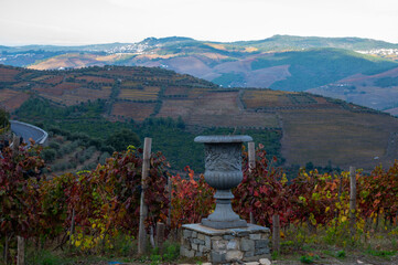 Naklejka premium Panoramic view on Douro river valley and colorful hilly stair step terraced vineyards in autumn, wine making industry in Portugal