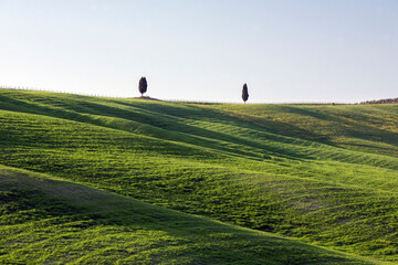 Italy, Tuscany, Green grassy meadow