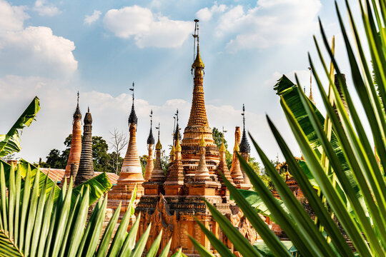 Myanmar, Shan State, Samkar, Palm tree leaves against Taw Mwe Khaung Pagoda