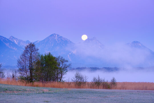 Germany, Bavaria, Halblech,&Ocirc;&oslash;&Omega;Bannwaldsee&Ocirc;&oslash;&Omega;lake at foggy dawn with full moon shining over&Ocirc;&oslash;&Omega;Tannheim&Ocirc;&oslash;&Omega;Mountains in background