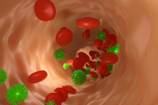 3D Rendered illustration of red blood cells and Coronavirus in bloodstream