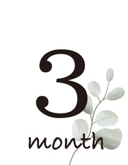 植物のマンスリーカード　３ヶ月