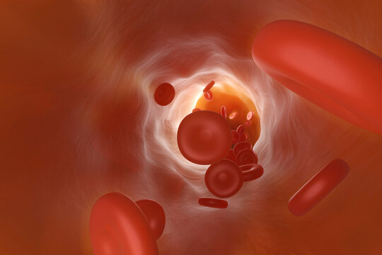 Three dimensional render of red blood cells flowing through vein
