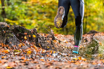 Male trail runner running through mud in autumn forest at Kappelberg, Germany