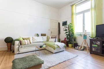 Living room of cozy apartment