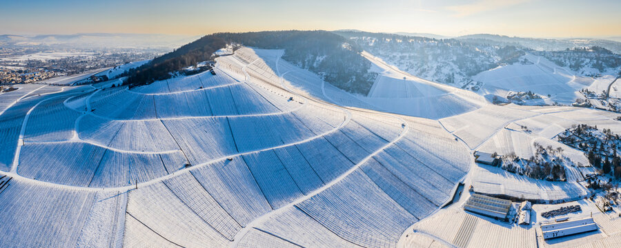 Germany, Baden Wurttemberg, Snow covered vineyard on Kappelberg in winter