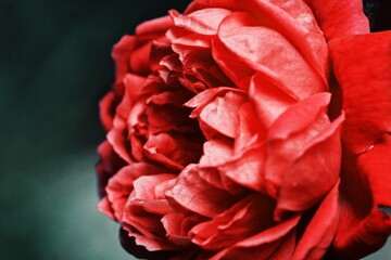 Processed with VSCO with g3 preset