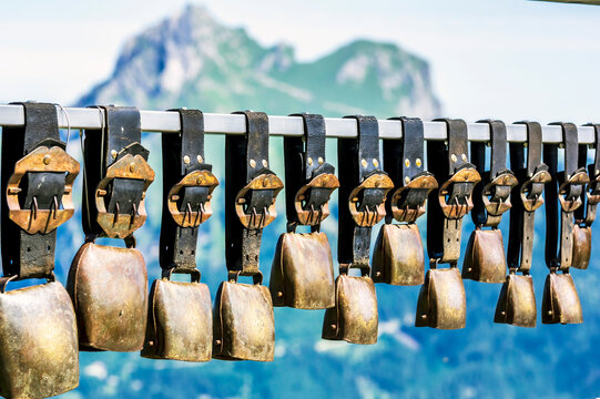 Row of cow bells hanging outdoors