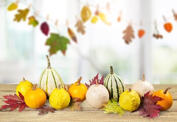 Obraz na płótnie Canvas Thanksgiving dinner preparation. Table with pumpkin for autumn season pie.