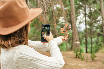 Woman photographing Pistacia Lentiscus leaves in forest