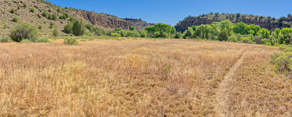 Dry Meadow in the Upper Verde River Wildlife Area