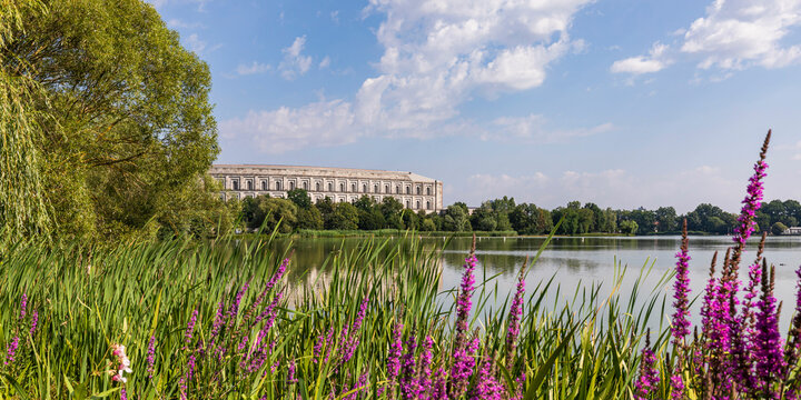 Germany, Bavaria, Nuremberg, Purple wildflowers blooming on grassy lakeshore in Volkspark Dutzendteich park with Congress Hall in background