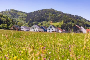 Germany, Baden-Wurttemberg, Buchenbach, Meadow in front of houses at foot of forested hill in Black Forest