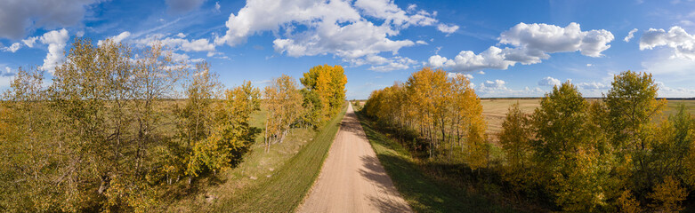 Fototapeta na wymiar Aerial panoramic view of gravel road running between autumn colored trees and farm fields under a blue sky with white clouds. 