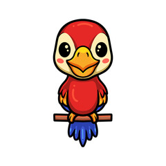 Cute little parrot cartoon on tree branch
