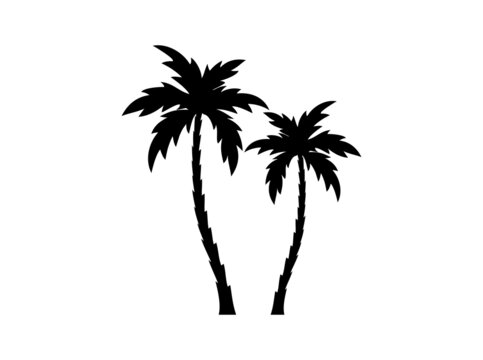 palm tree icon silhouette
