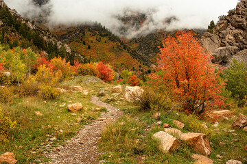 Naklejka premium Hiking trail on a stormy autumn day