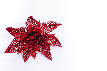 Fototapeta premium red christmas flower on white background