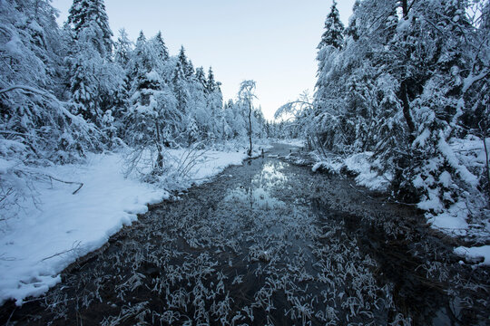 Germany, Bavaria, Inzell, Frillensee lake in winter