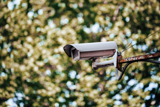 Close-up of security camera against tree