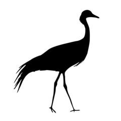 Silhouettes of a crane on a white background. Vector illustration