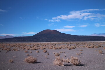 desert landscape of northwestern Argentina
