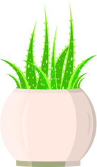 Cactus in a pot on a white background. Vector illustration