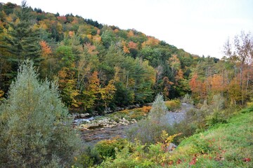 autumn in the mountains