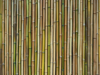 竹を貼った壁