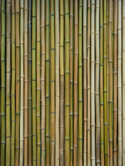 竹を貼った壁