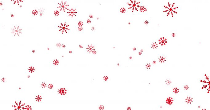 Animation of red snowflakes falling on white background
