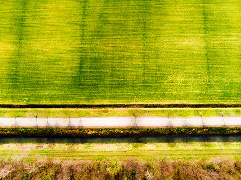 Italy, Friuli Venezia Giulia, Marano, Aerial view of country road stretching along green field