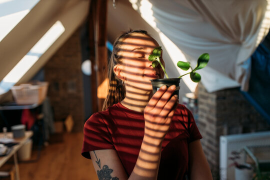 Young woman holding courgette plant at home